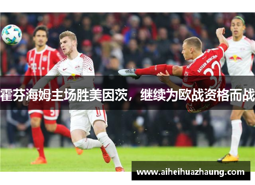 霍芬海姆主场胜美因茨，继续为欧战资格而战